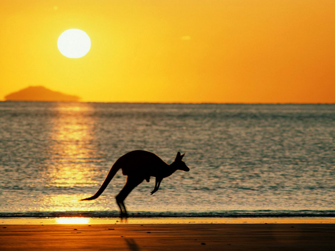 2 Australia The kangaroo Australia   Modern Wonderland