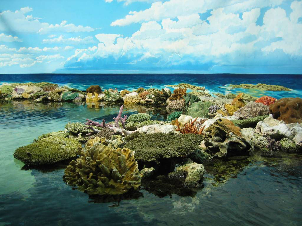 8 Great Barrier Reef Australia   Modern Wonderland