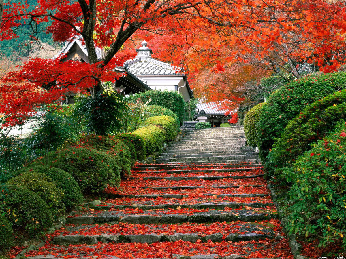 7 garden Kyoto