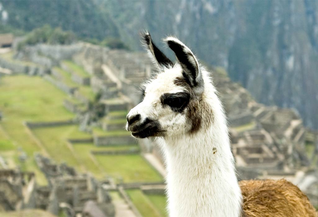 11 Machu Picchu – mysterious city